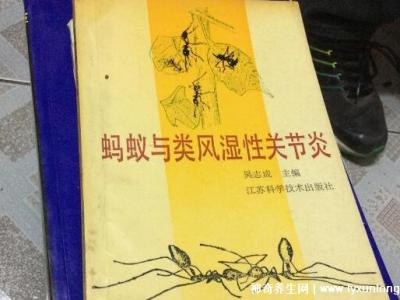 黑螞蟻治療類風(fēng)濕配方,螞蟻消痹湯(類風(fēng)濕性關(guān)節(jié)炎的克星)