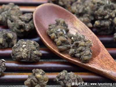 三種人不易吃貓抓草，陰虛體質/孕婦小兒/過敏者慎用