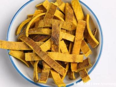 黃柏和蒼術泡水喝的功效與禁忌，7種人不宜吃黃柏和蒼術