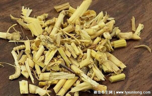 白茅根治好了我的尿毒癥,利尿排毒/恢復腎功能(附真實案例)-易網健康<a href=http://www.xllyou.com/jkys/ target=_blank class=infotextkey>養生</a>網 白茅根治好了我的尿毒癥,利尿排毒/恢復腎功能(附真實案例)