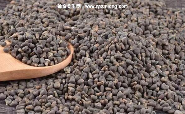 沙苑子泡水三大禁忌，十種人不能吃沙苑子(不能天天喝)