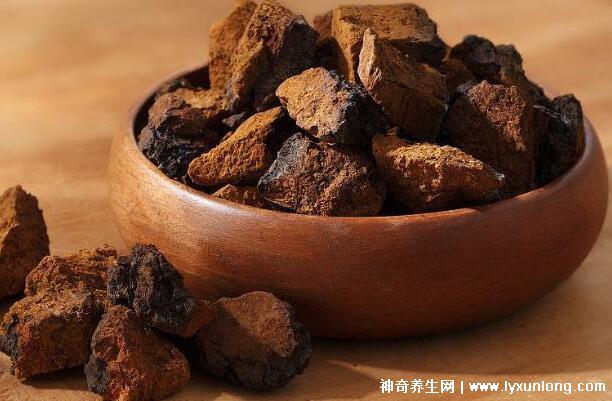 喝了4個月樺樹茸血糖升高,正確服用會降血糖(3大因素影響)-易網健康<a href=http://www.xllyou.com/jkys/ target=_blank class=infotextkey>養生</a>網 喝了4個月樺樹茸血糖升高,正確服用會降血糖(3大因素影響)