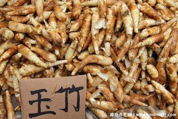 三種人不能吃玉竹，痰濕氣滯/脾虛便溏/陰虛內寒要忌口