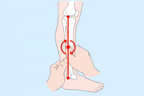 按摩豐隆最佳時間-易網健康<a href=http://www.xllyou.com/jkys/ target=_blank class=infotextkey>養生</a>網 按摩豐隆最佳時間