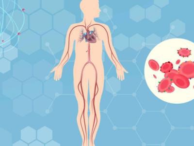 經(jīng)絡養(yǎng)生的好處是什么