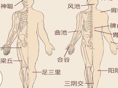 找膏肓穴的最簡單方法,有何作用