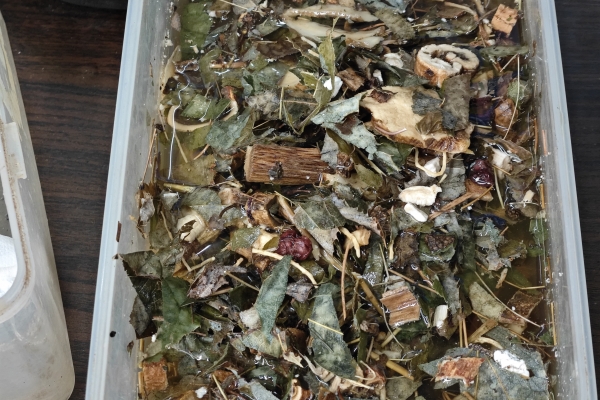 補(bǔ)腎常用的中藥有哪些