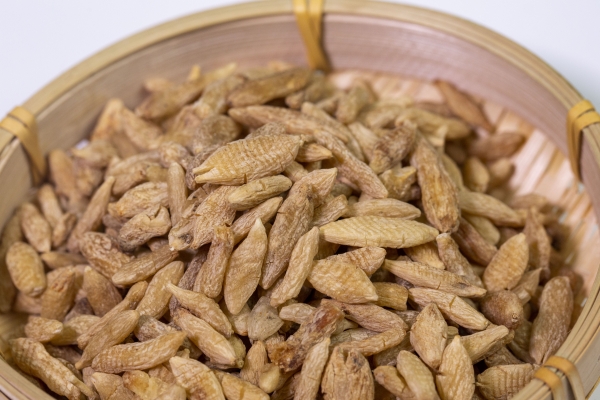 補(bǔ)腎常用的中藥有哪些