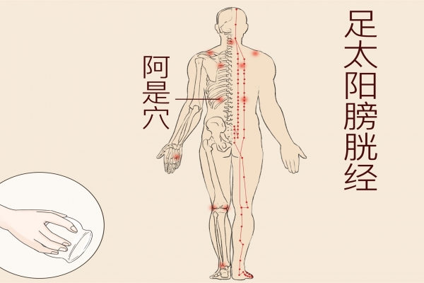 金門的準確位置與功效-易網(wǎng)<a href=http://www.xllyou.com/ target=_blank class=infotextkey>健康養(yǎng)生</a>網(wǎng) 金門的準確位置與功效