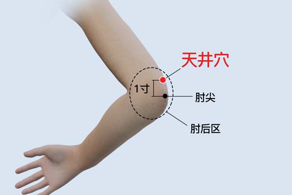 天井的位置和功效與作用