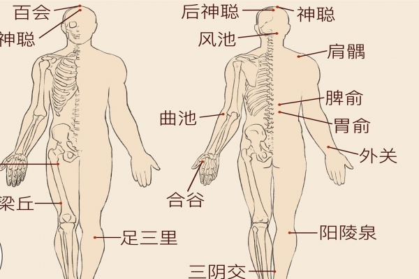 神庭的準確位置和功效