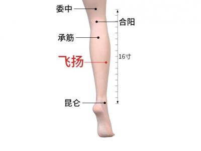 飛揚的位置與作用和功效
